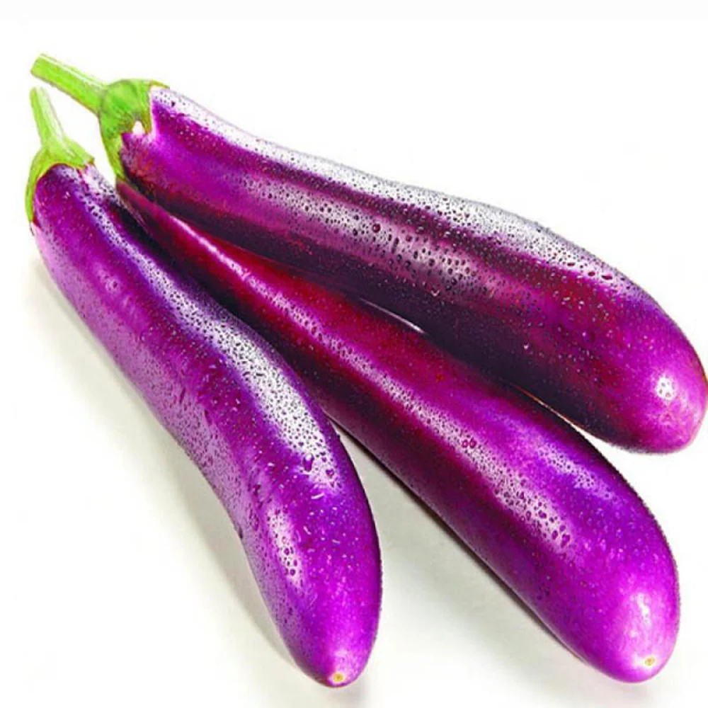 Long Purple Eggplant (Brinjal) - Image 3